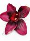 Орхидея хлопок 16см (бел-зел фиол  виш красн молоч пеп-розы)